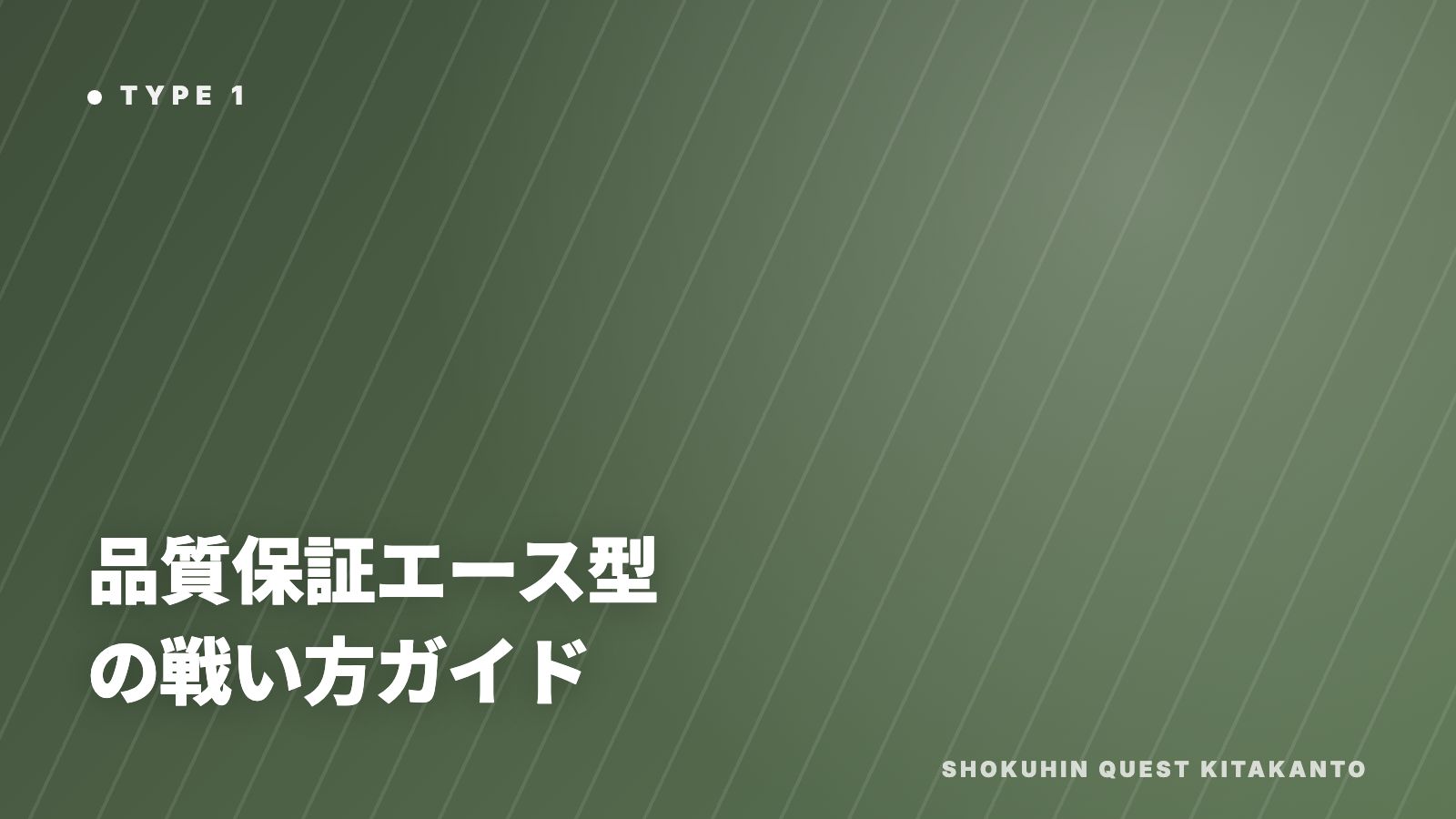 品質保証エース型の戦い方ガイド 表紙