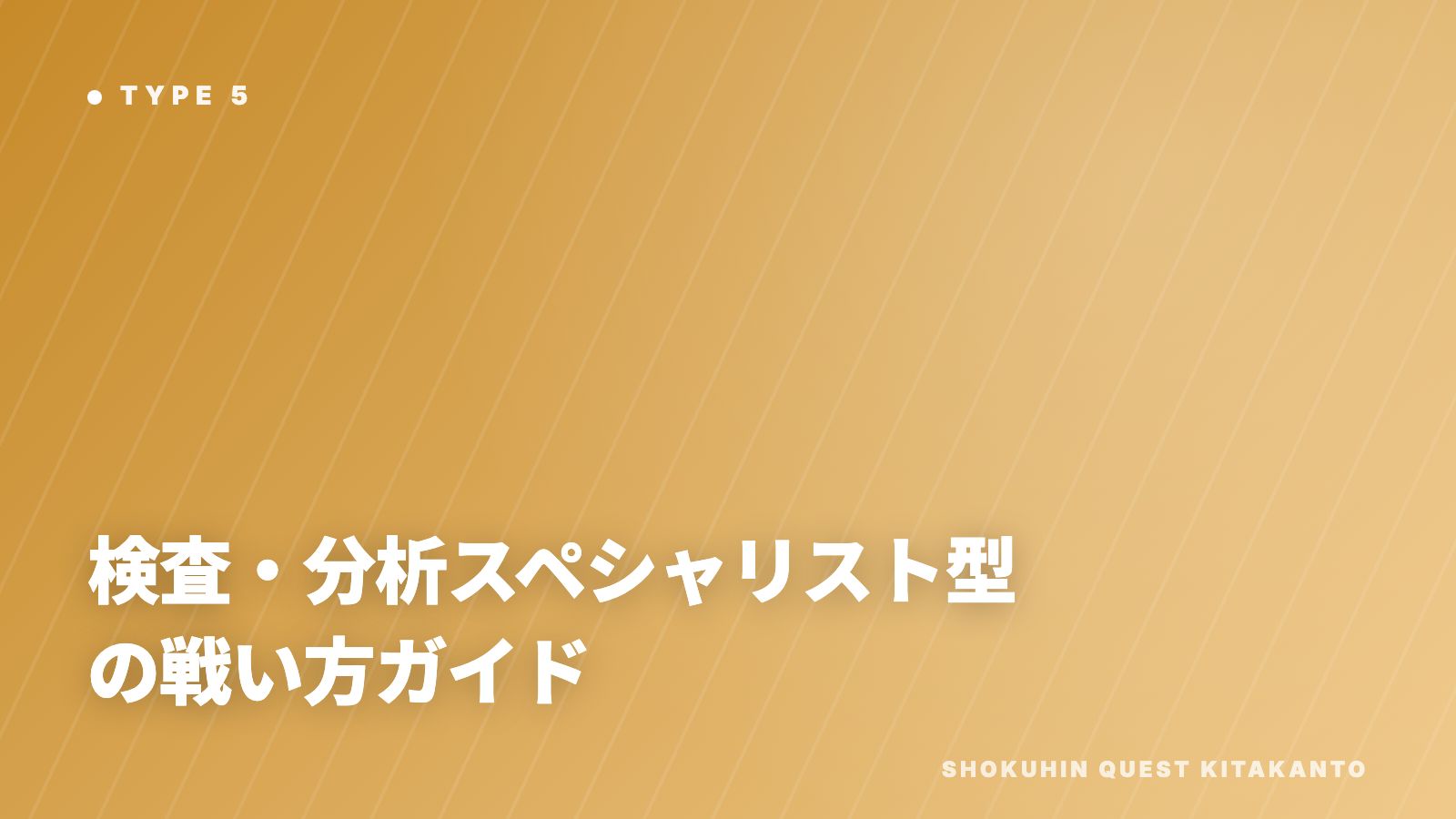 検査・分析スペシャリスト型の戦い方ガイド 表紙